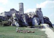 Zamek w Ogrodzie�cu