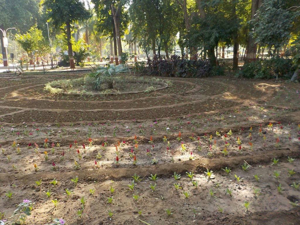 The first garden patch in the park